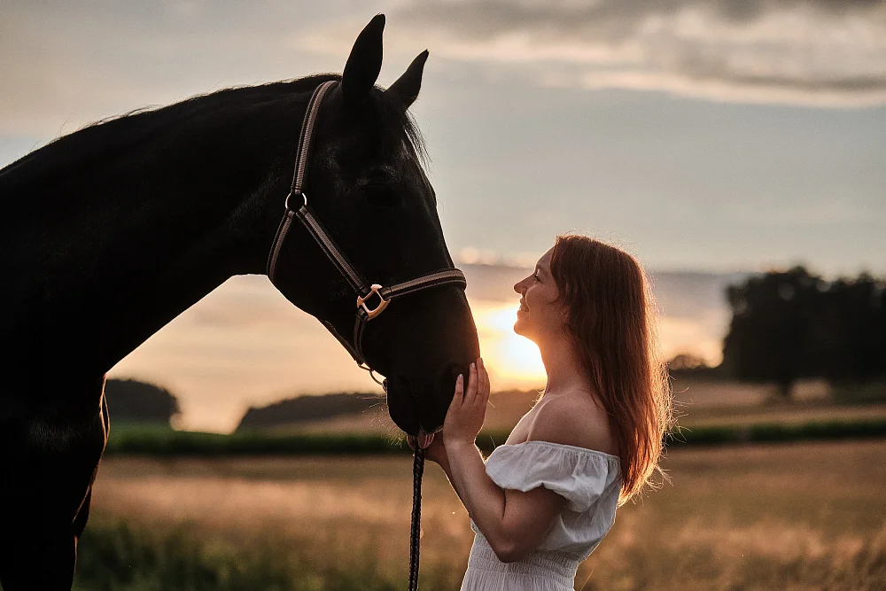 Outdoor Portraitserie mit Pferd im Sonnenuntergang
